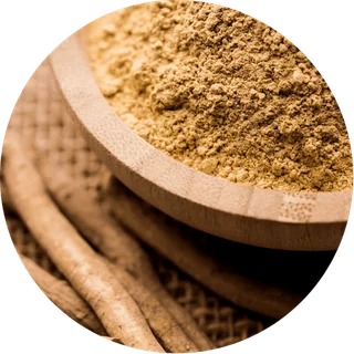 Ashwagandha root extract — ingredient in Vigor Fix